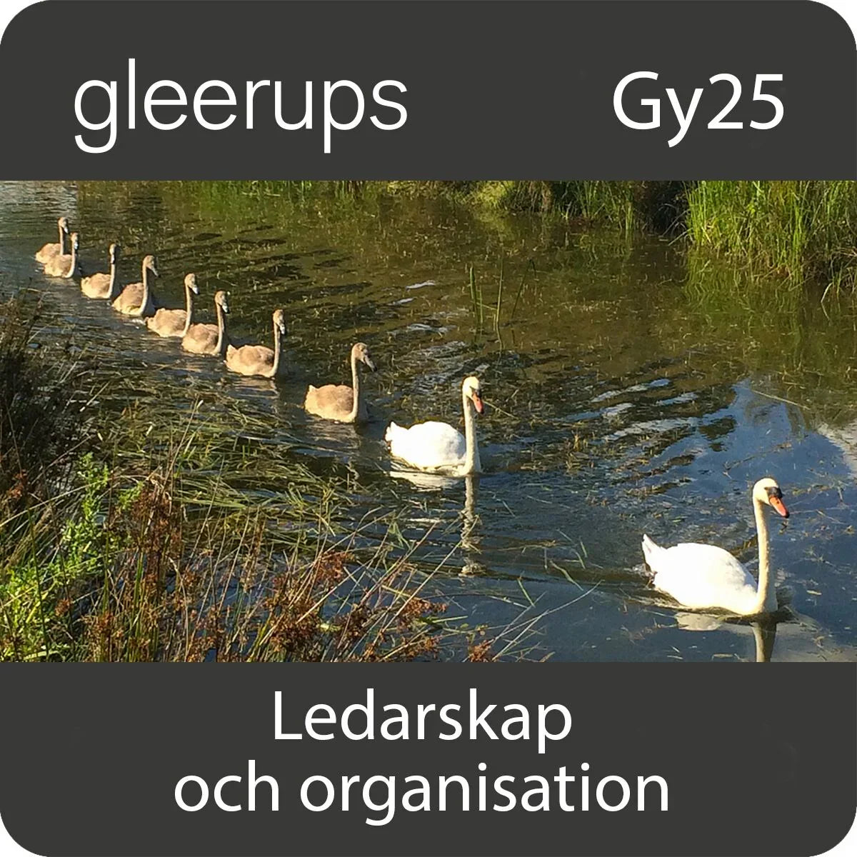 Ledarskap och organisation, digitalt, lärare, 12 mån, Gy25 (OBS! Endast för lärare)
