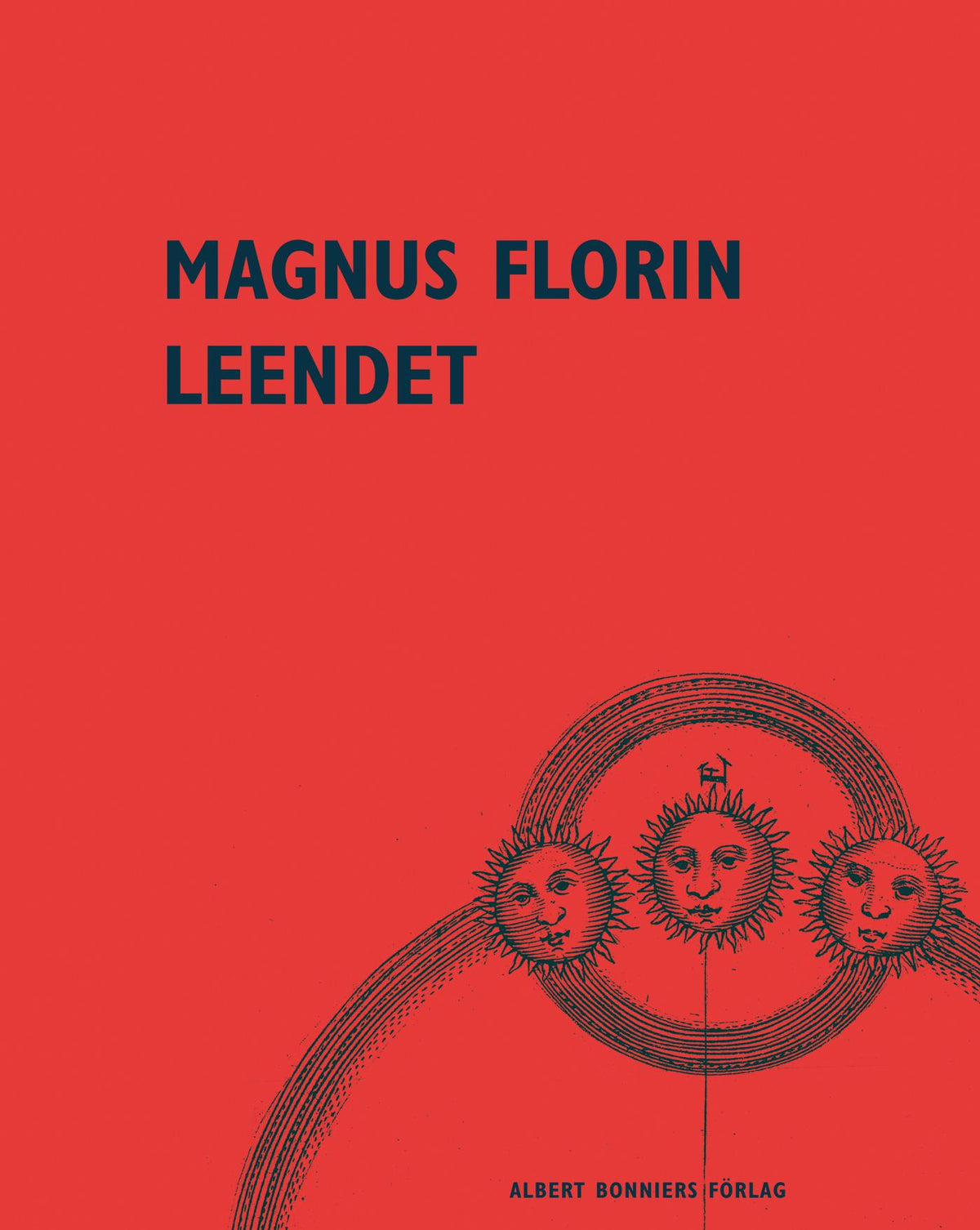 Leendet – E-bok