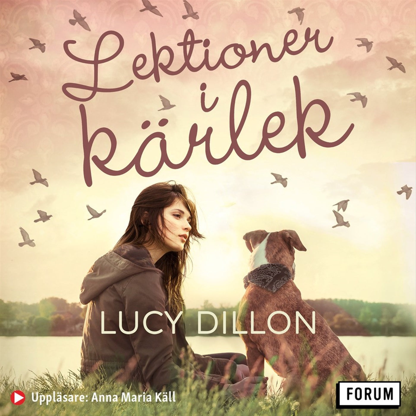 Lektioner i kärlek – Ljudbok