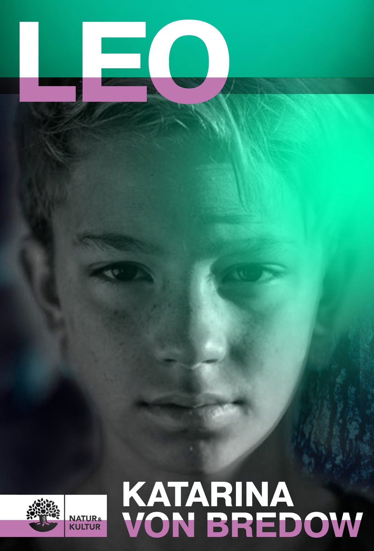Leo – E-bok