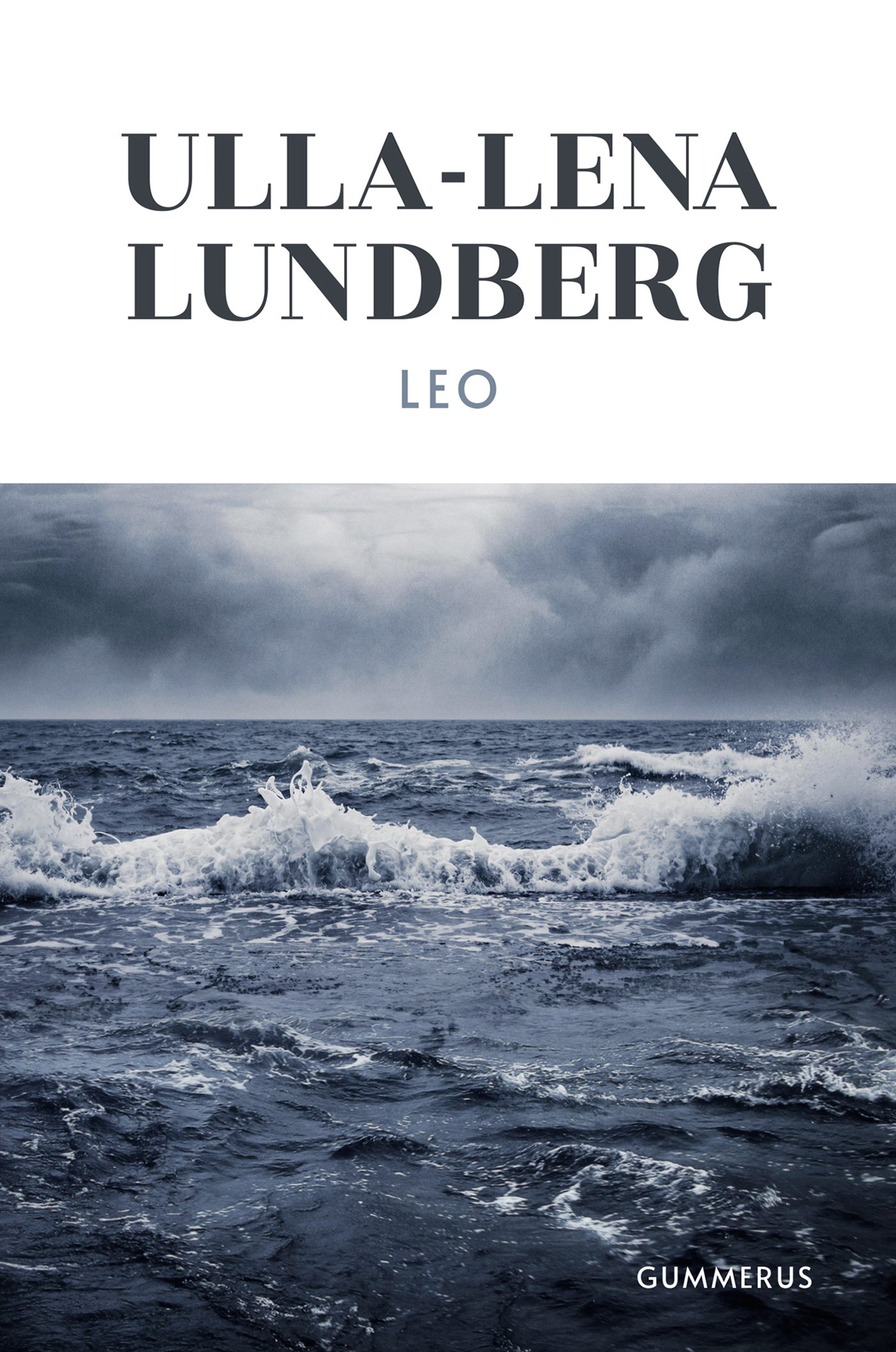 Leo – E-bok