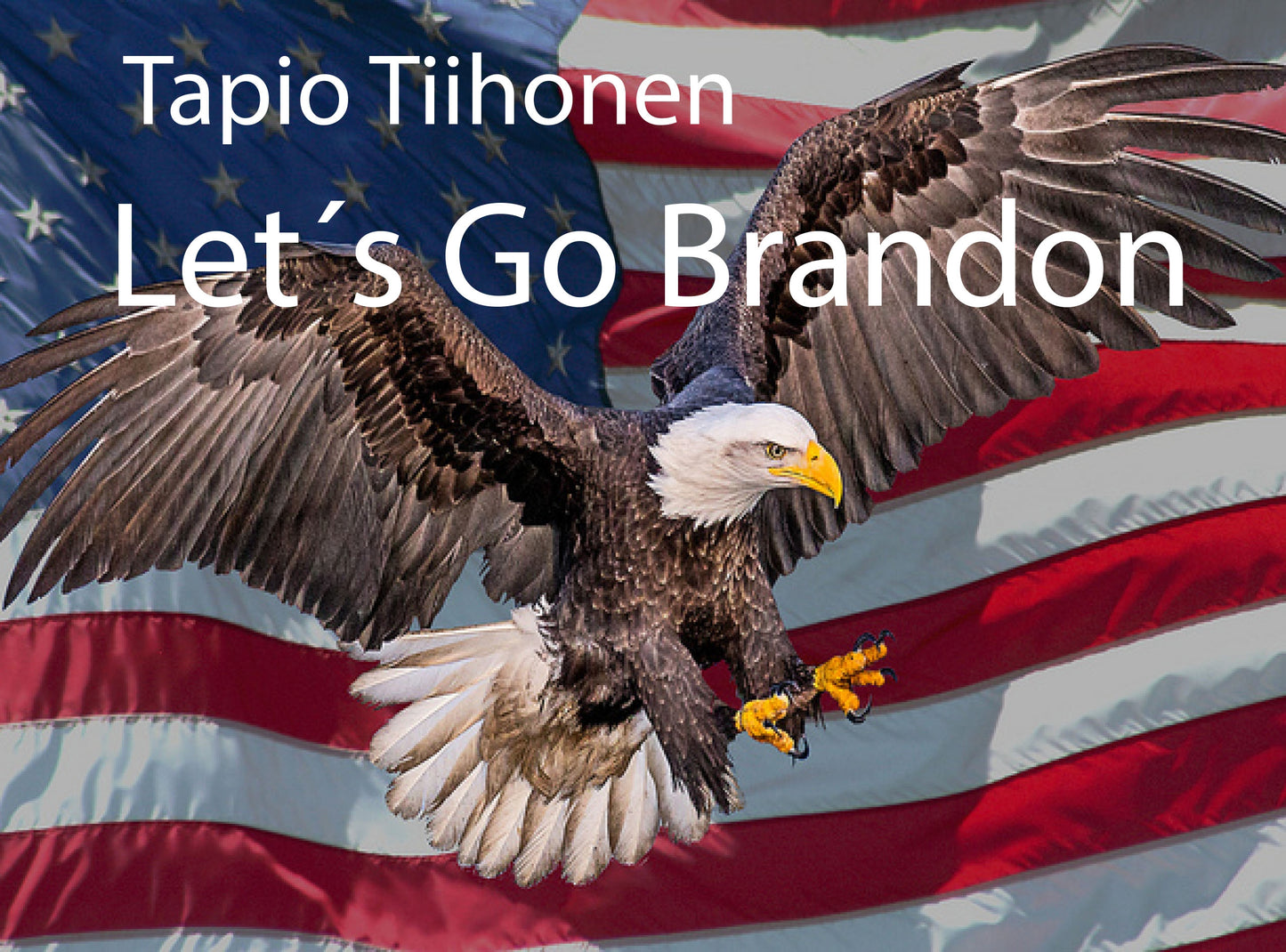 Let´s Go Brandon: Golden Bird NYC – E-bok