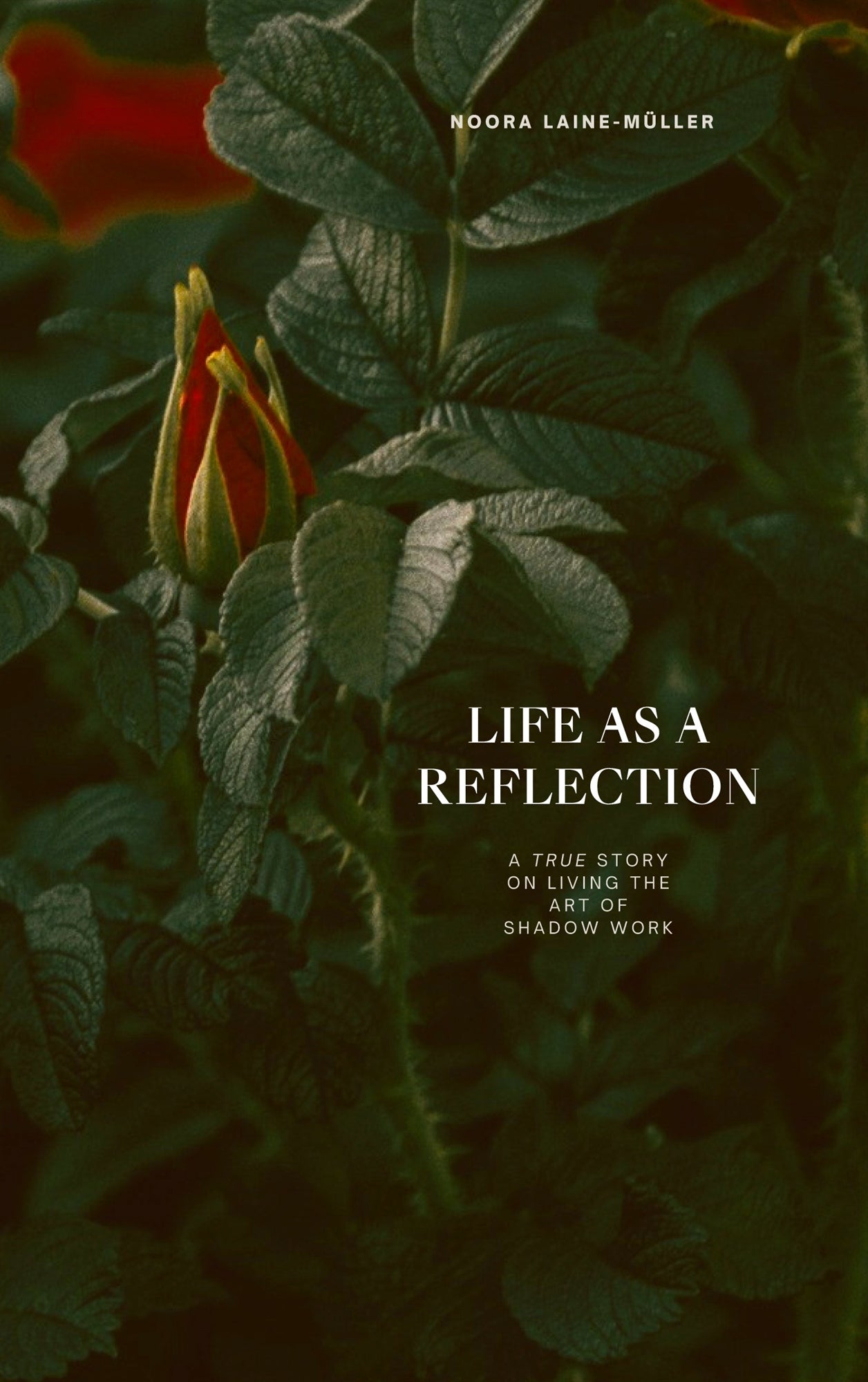 Life as a Reflection: A true story on living the art of shadow work – E-bok