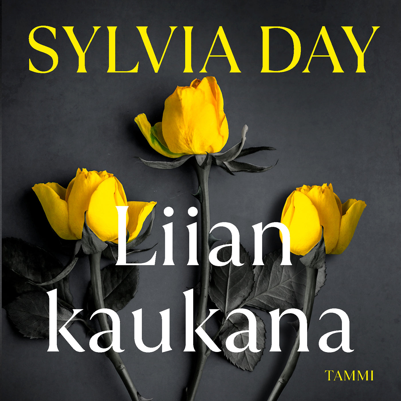 Liian kaukana – Ljudbok