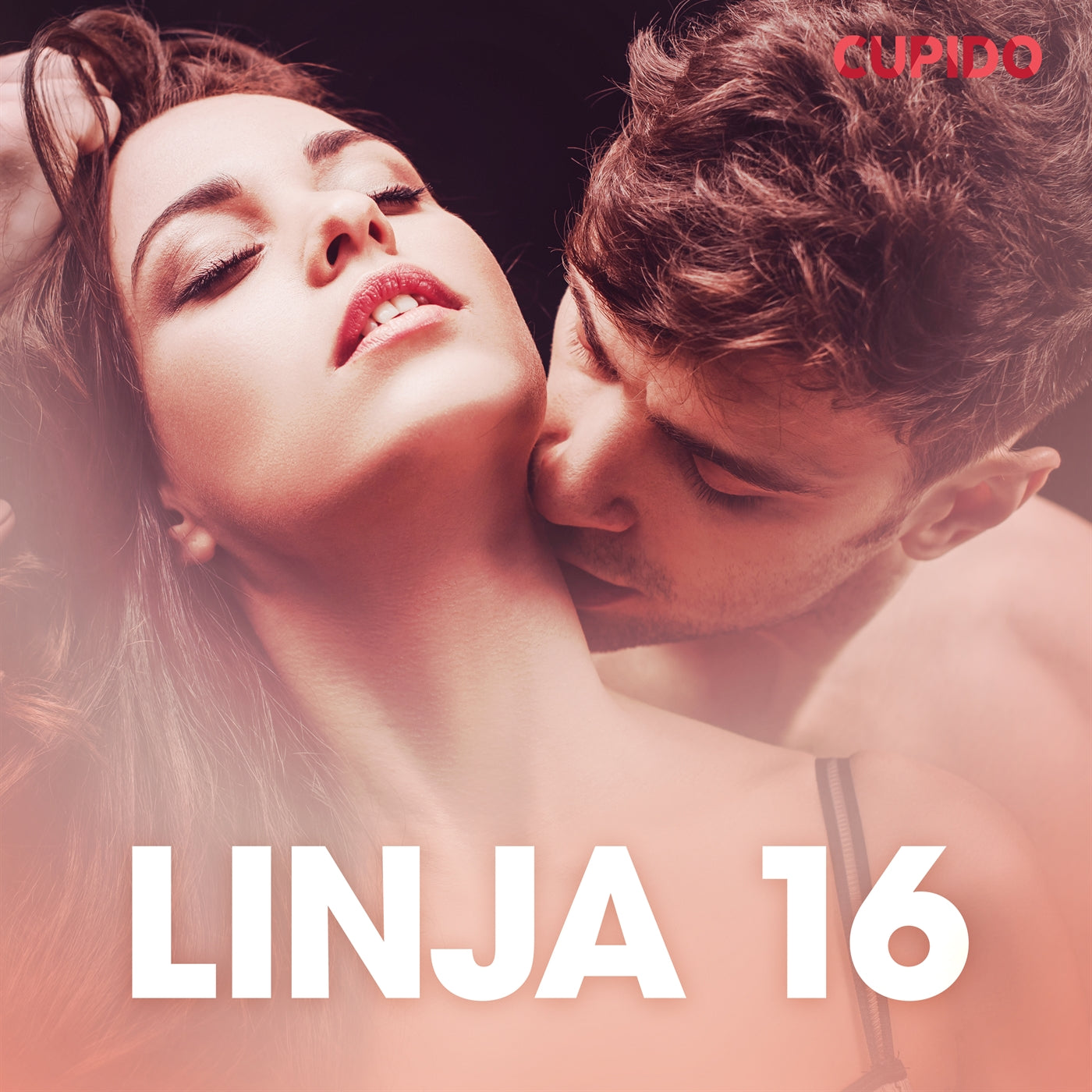 Linja 16 - eroottinen novelli – Ljudbok