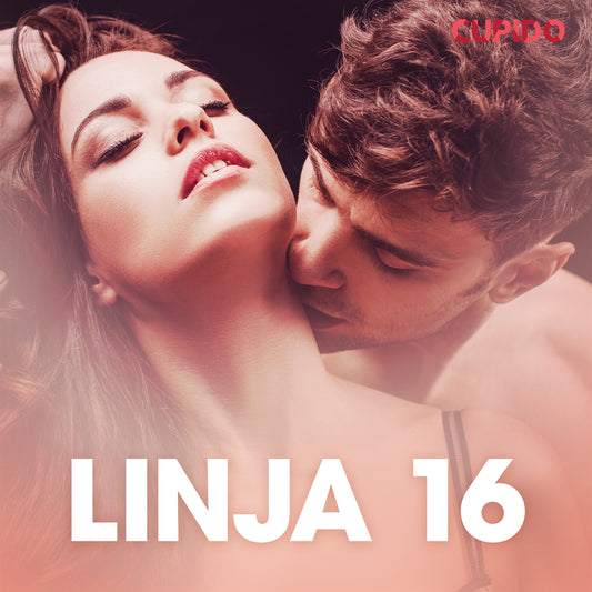 Linja 16 - eroottinen novelli – Ljudbok