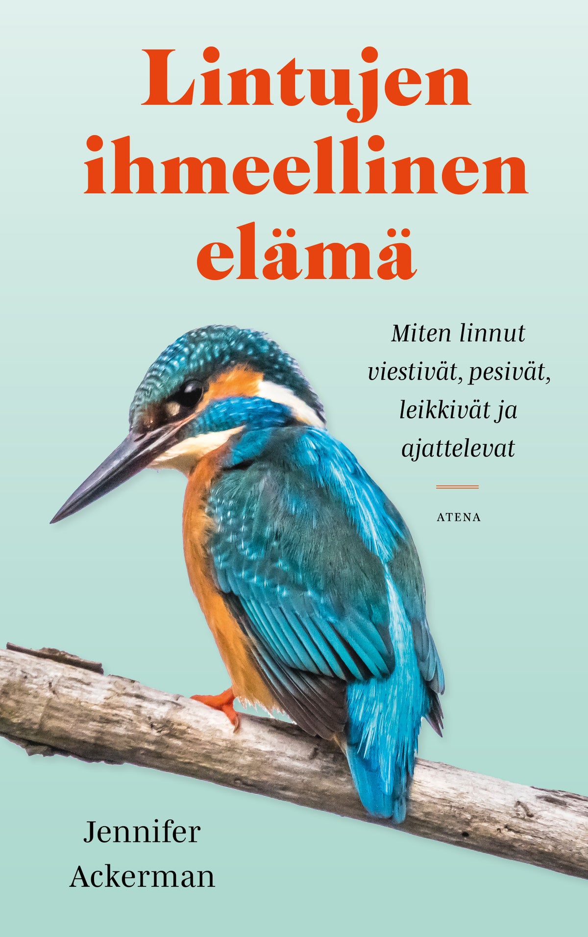 Lintujen ihmeellinen elämä – E-bok