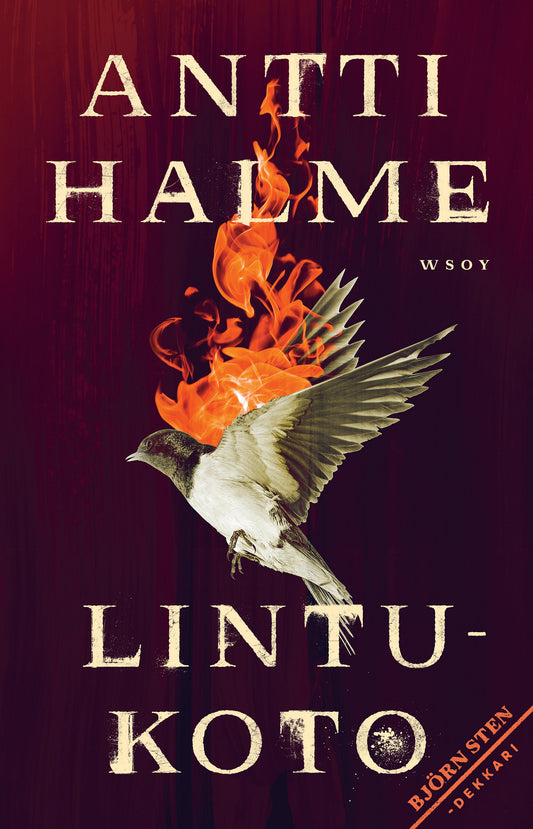 Lintukoto – E-bok