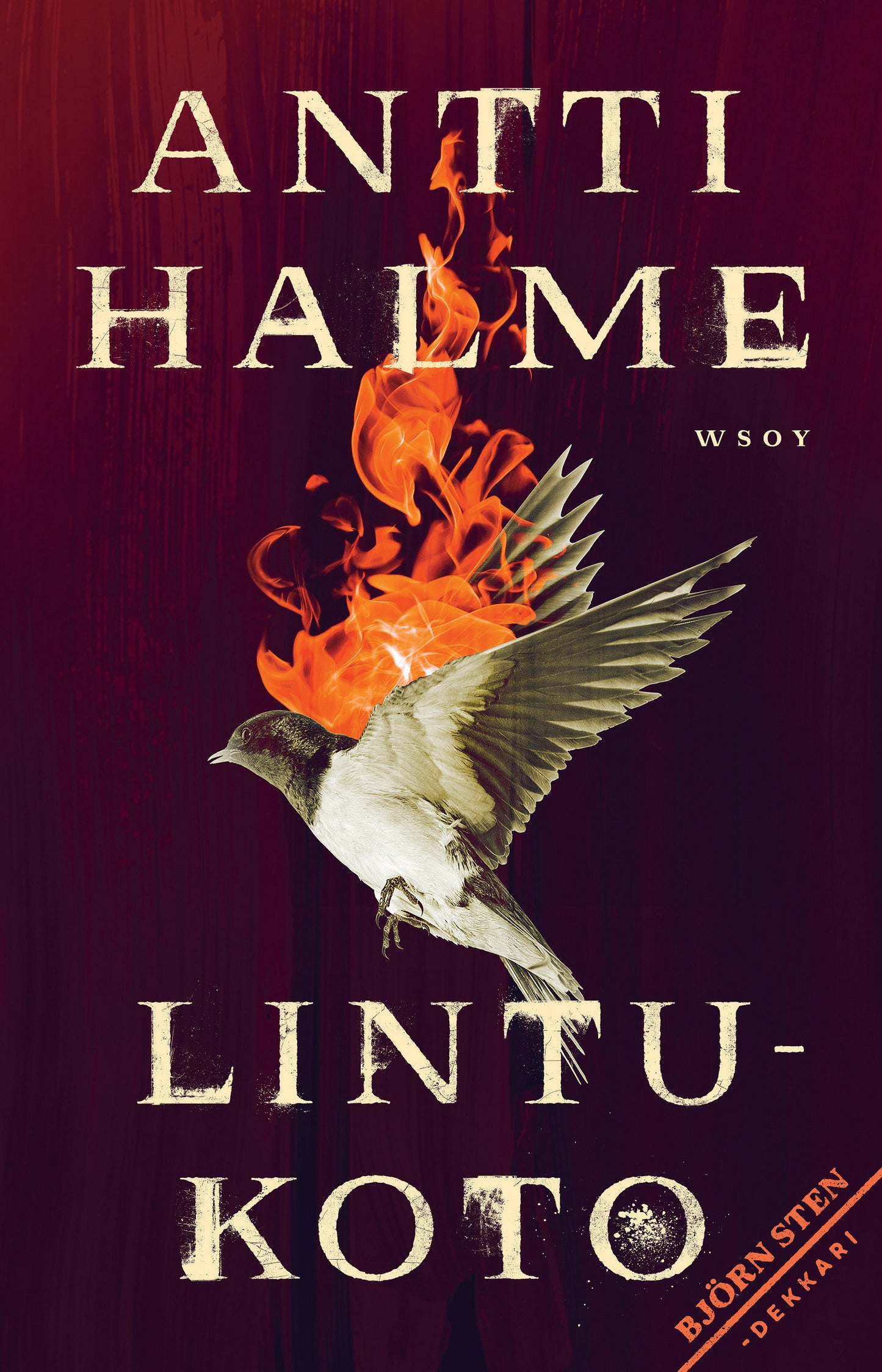 Lintukoto – E-bok