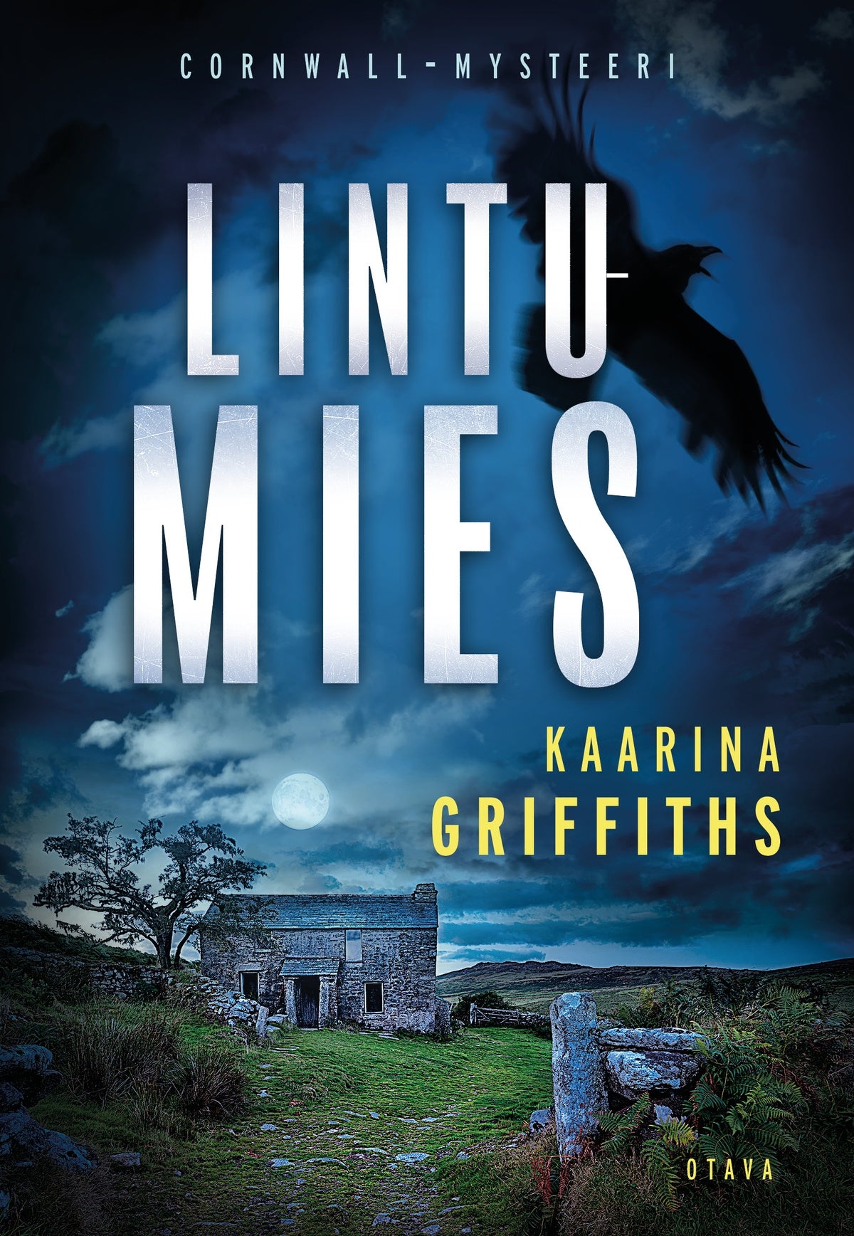Lintumies – E-bok