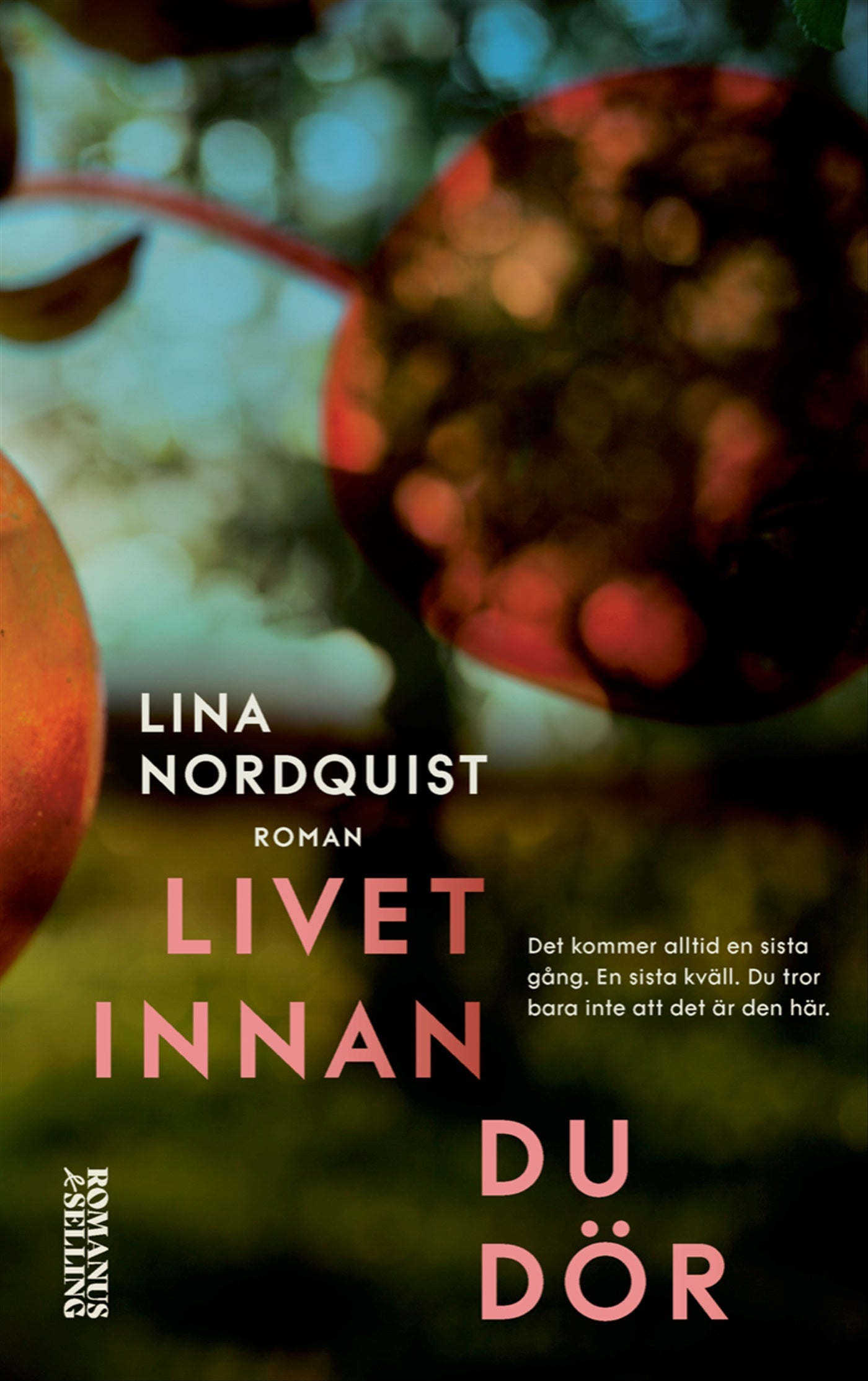 Livet innan du dör – E-bok