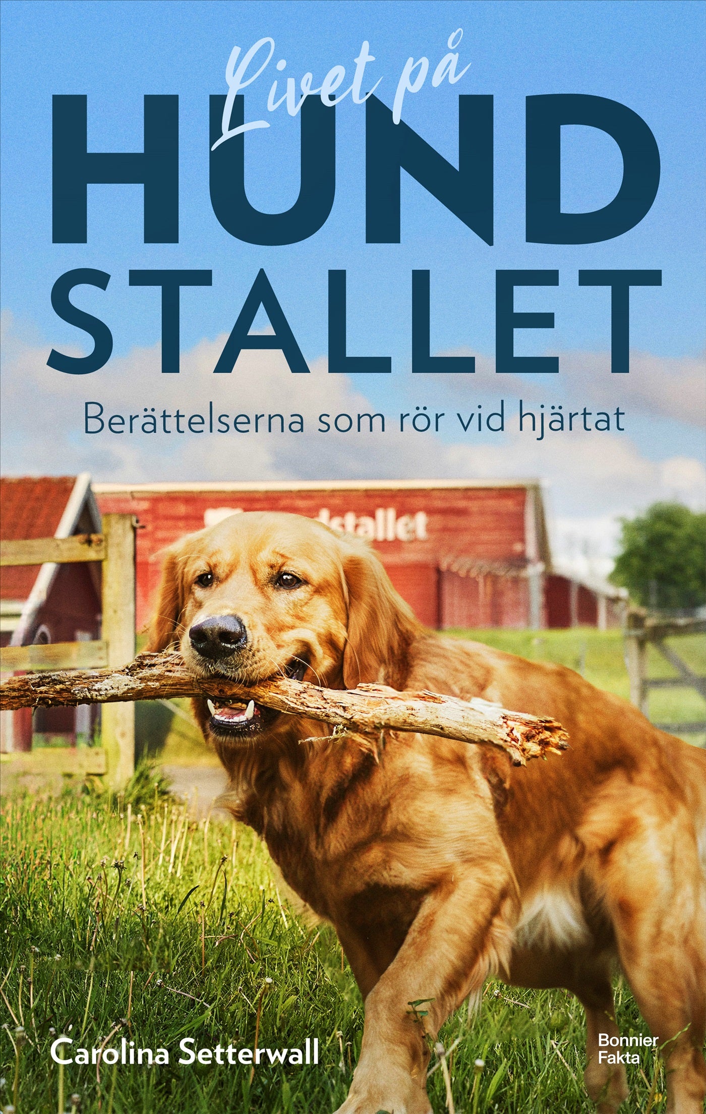 Livet på Hundstallet : berättelserna som rör vid hjärtat – E-bok