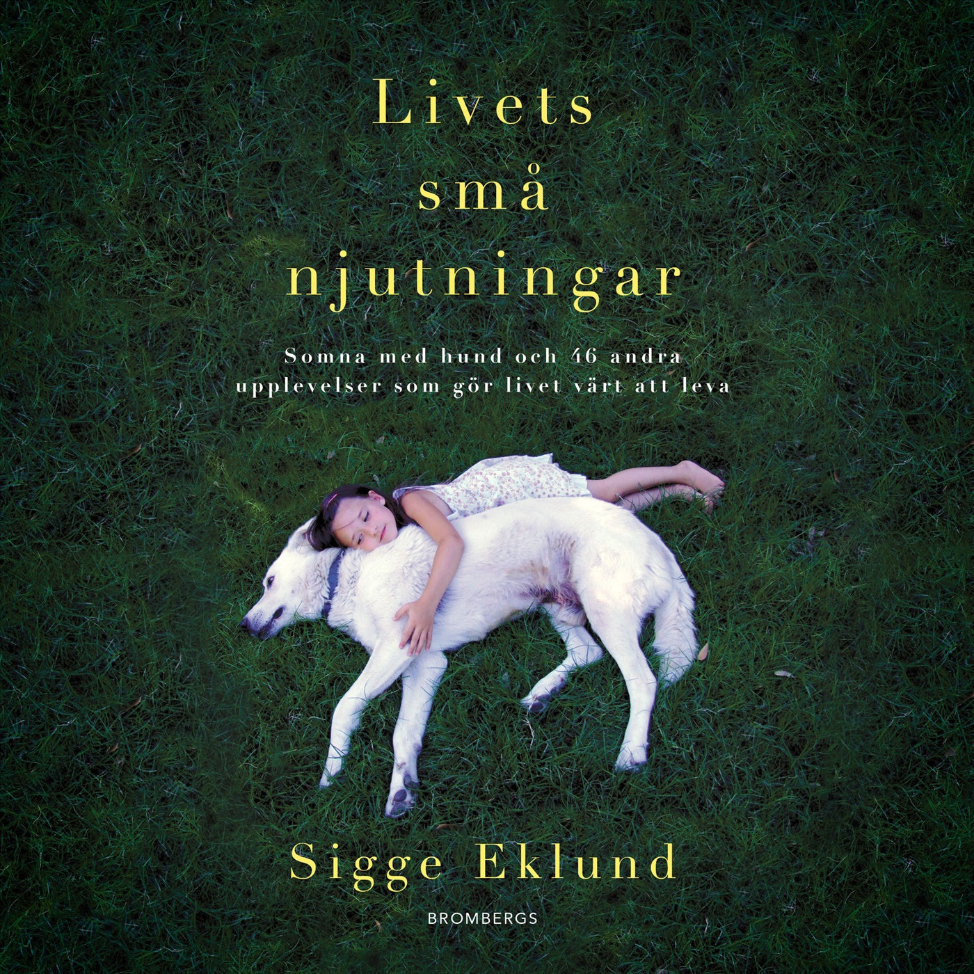 Livets små njutningar : somna med hund och 46 andra upplevelser som gör livet värt att leva – Ljudbok