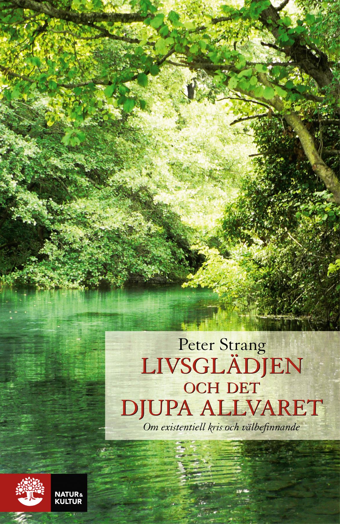 Livsglädjen och det djupa allvaret – E-bok