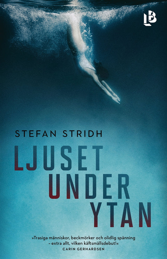 Ljuset under ytan – E-bok