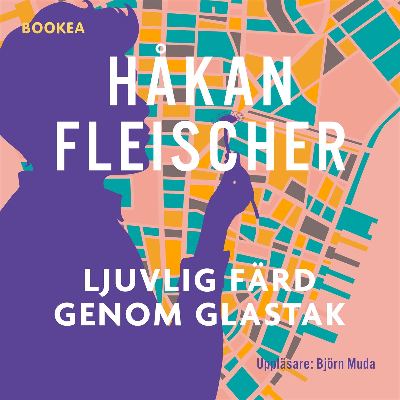 Ljuvlig färd genom glastak – Ljudbok