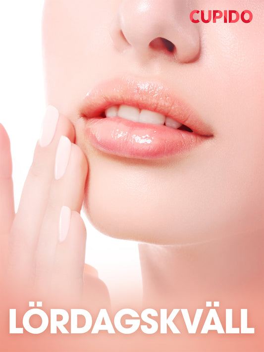 Lördagskväll - erotiska noveller – E-bok