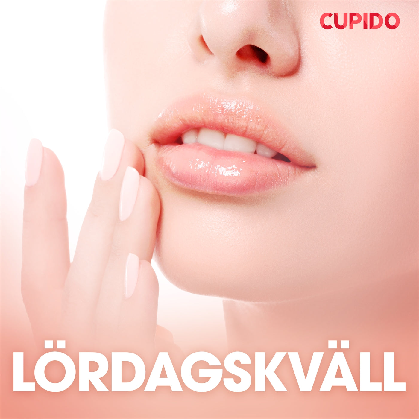 Lördagskväll - erotiska noveller – Ljudbok