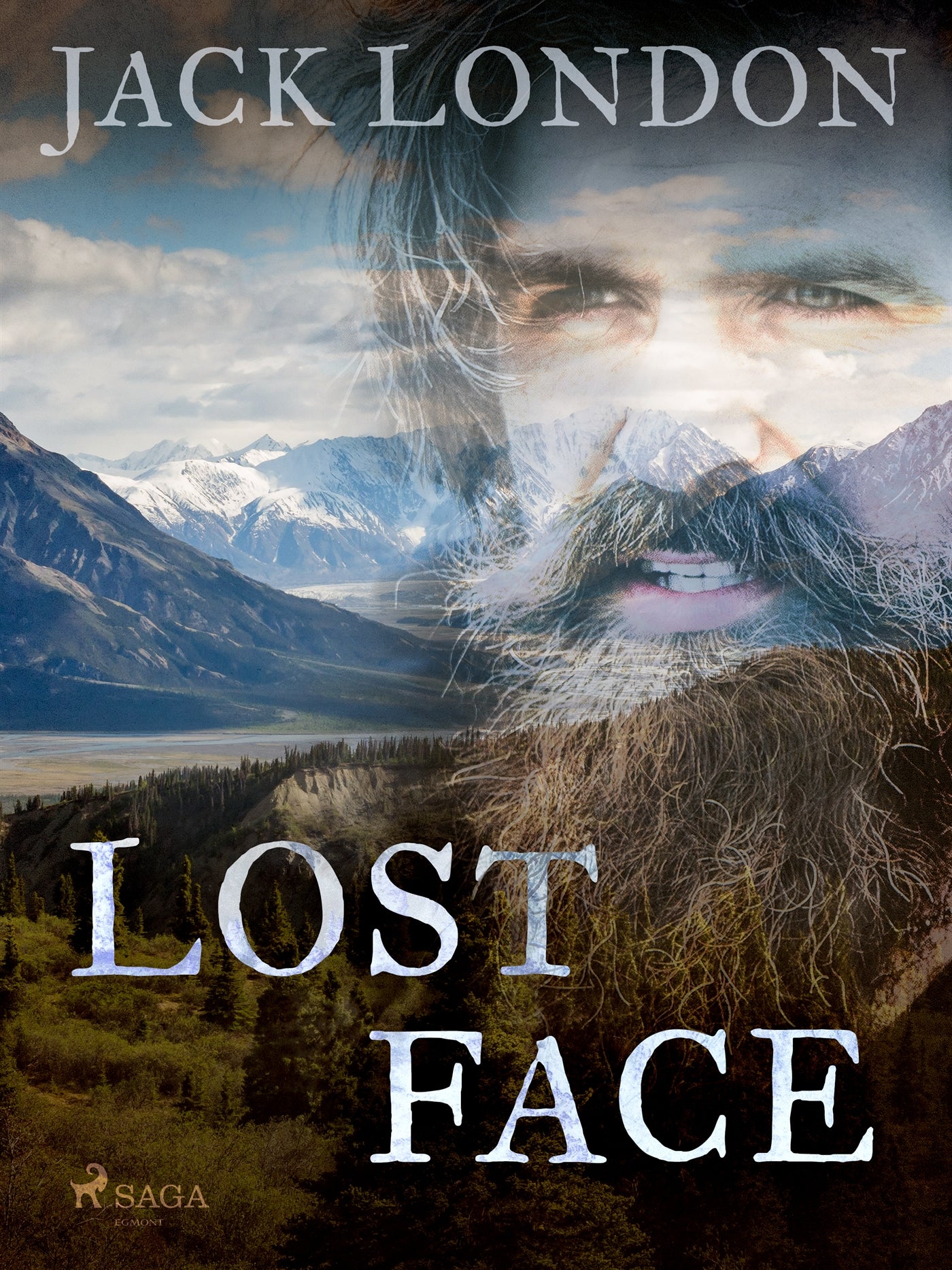 Lost Face – E-bok