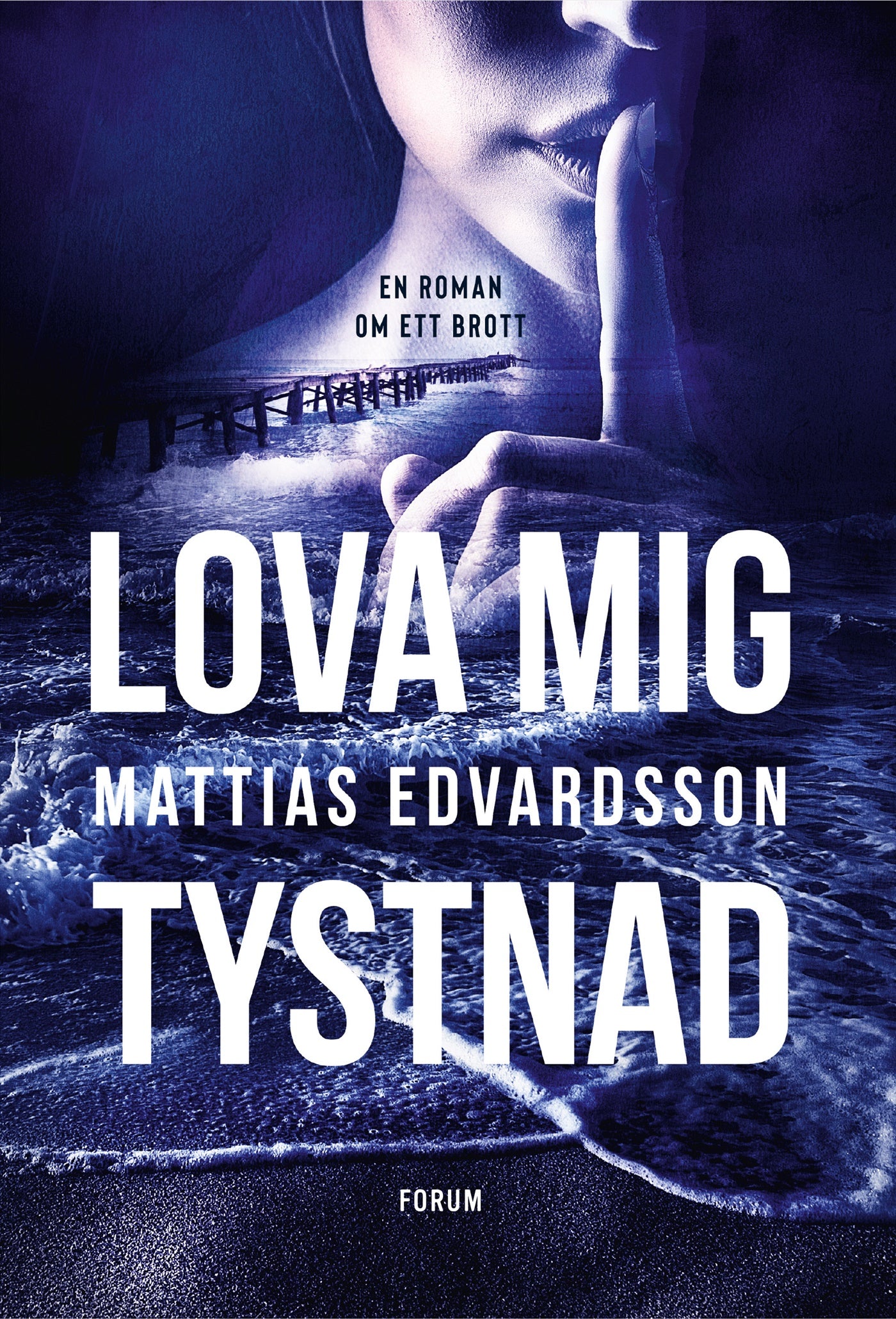 Lova mig tystnad – E-bok