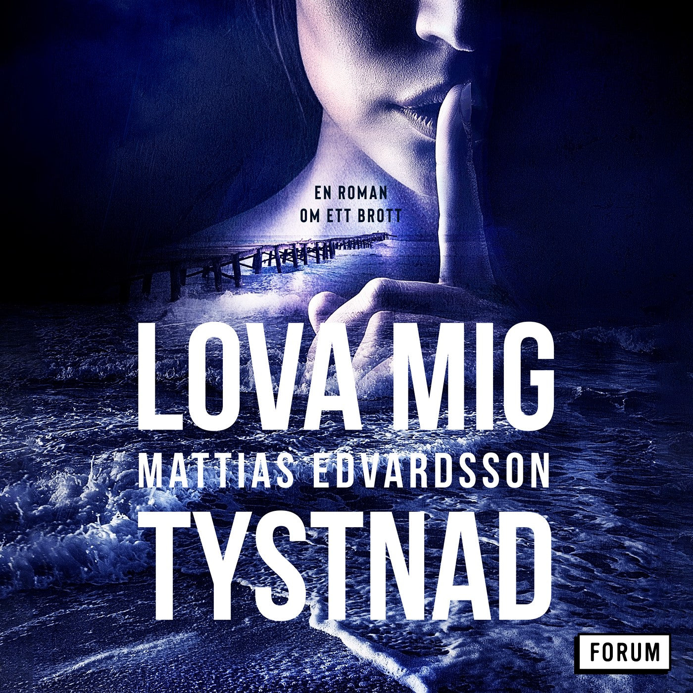 Lova mig tystnad – Ljudbok