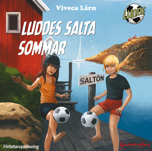 Luddes salta sommar – Ljudbok