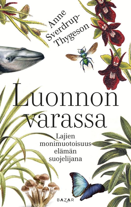 Luonnon varassa – E-bok