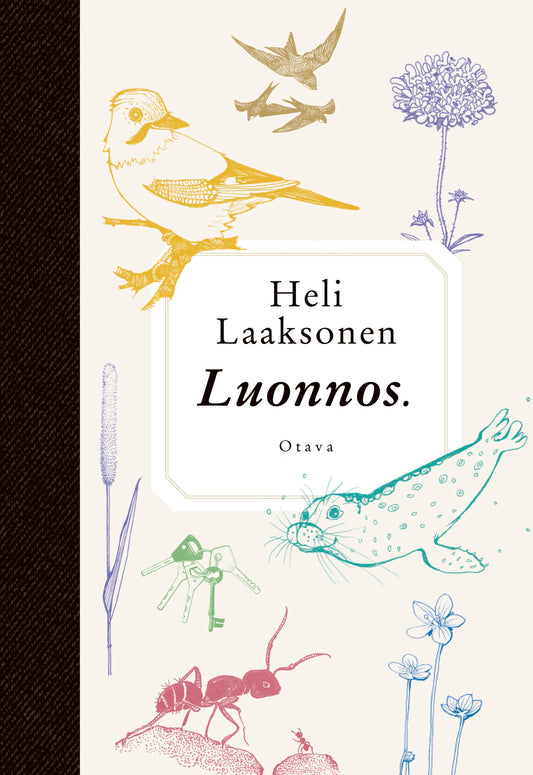 Luonnos – E-bok