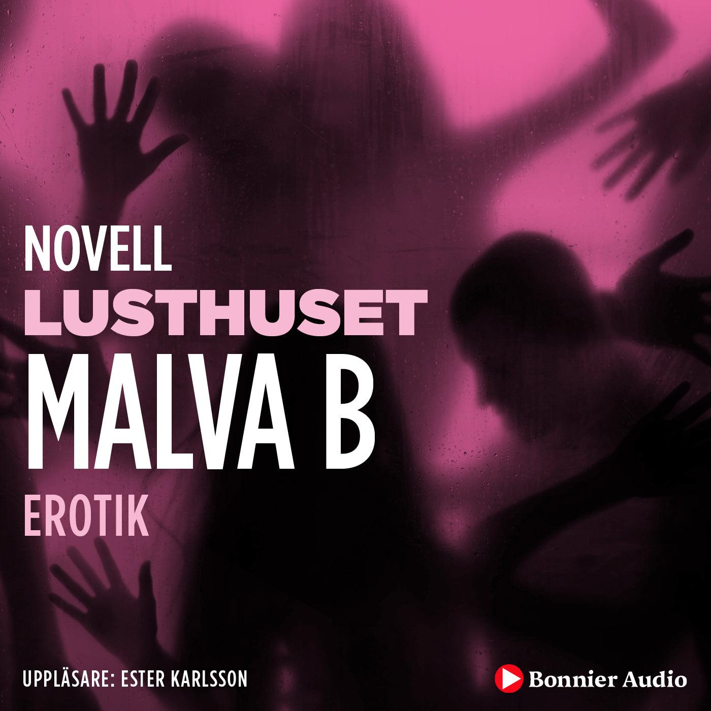 Lusthuset : en novell ur Begär – Ljudbok