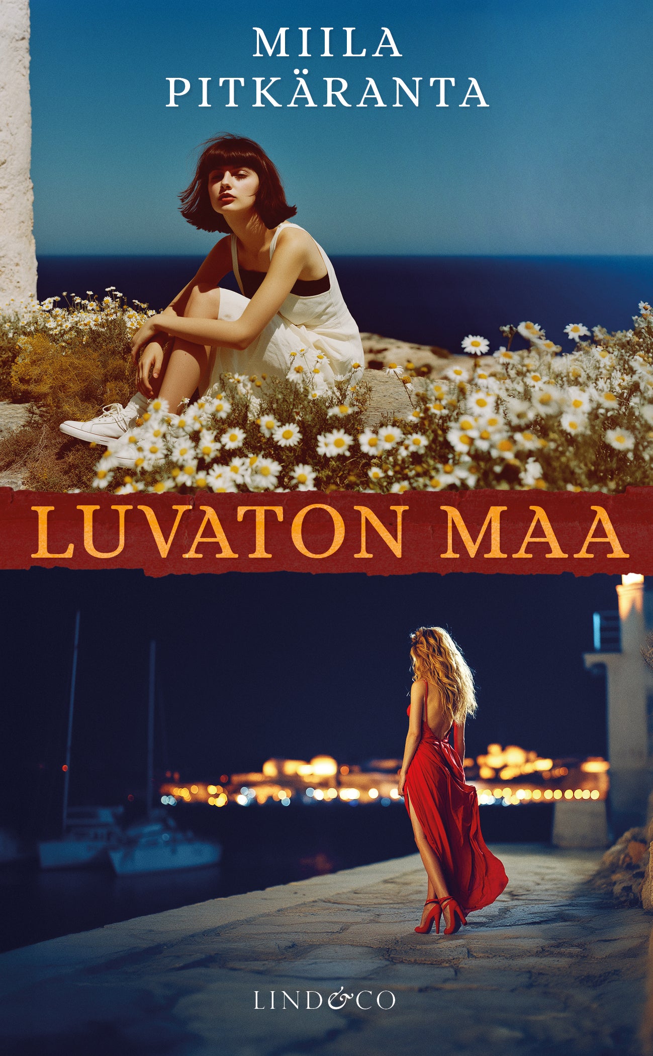 Luvaton maa – E-bok