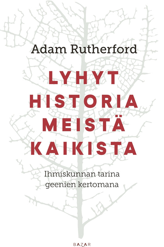 Lyhyt historia meistä kaikista – E-bok