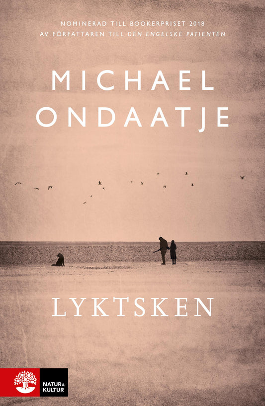 Lyktsken – E-bok