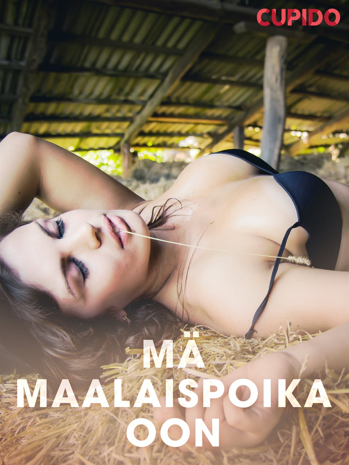 Mä maalaispoika oon – eroottinen novelli – E-bok