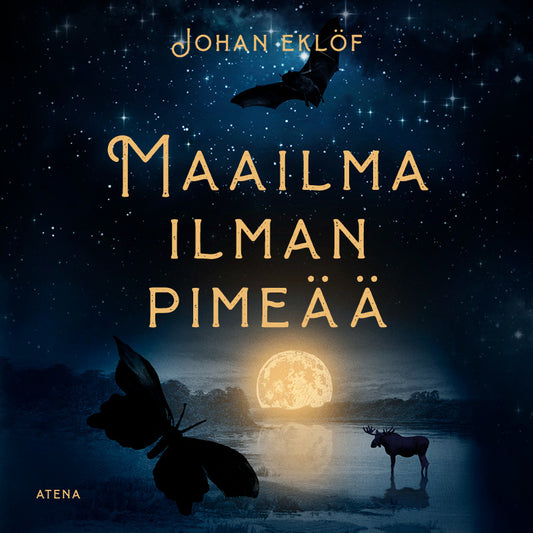 Maailma ilman pimeää – Ljudbok