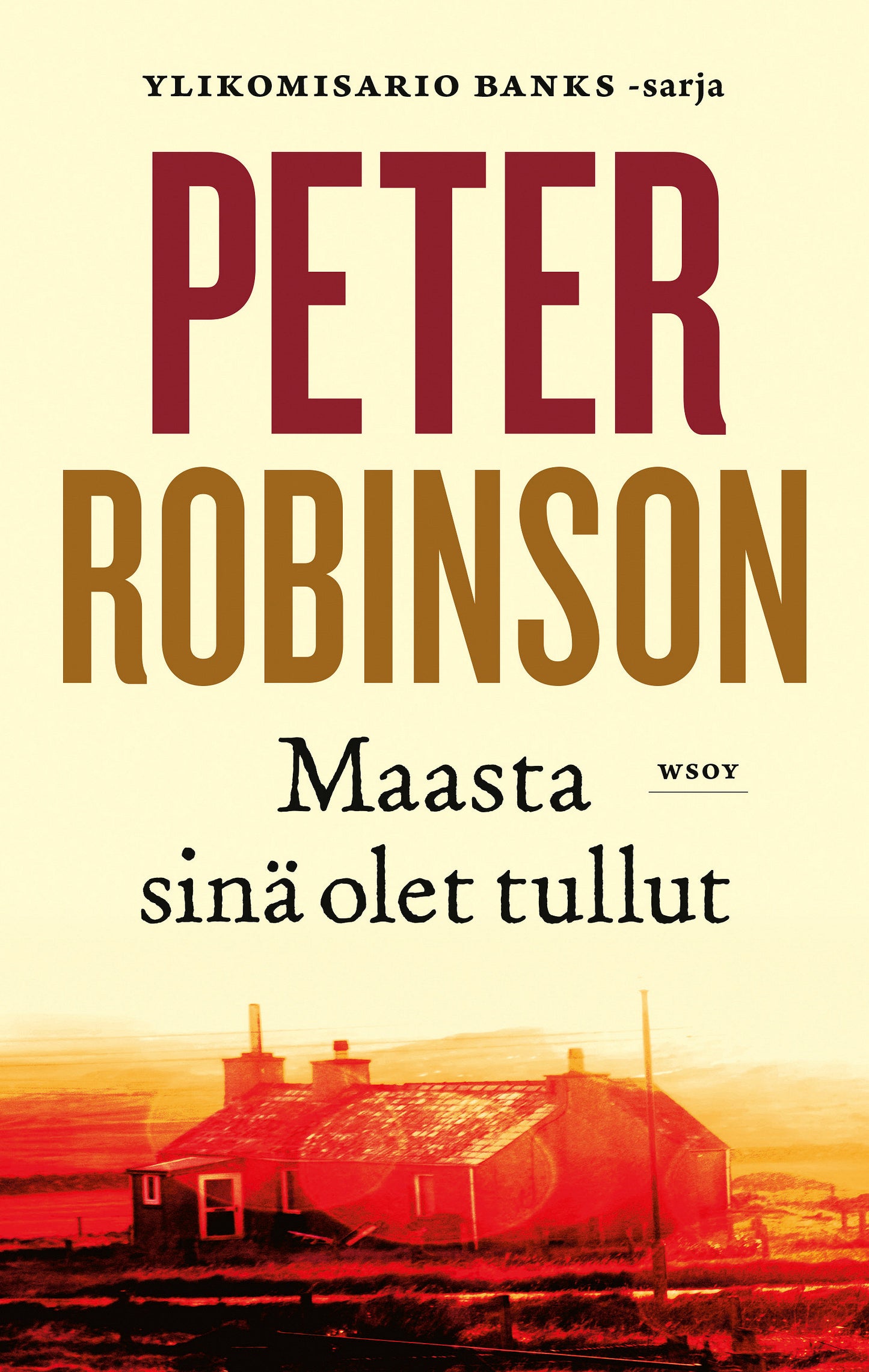 Maasta sinä olet tullut – E-bok