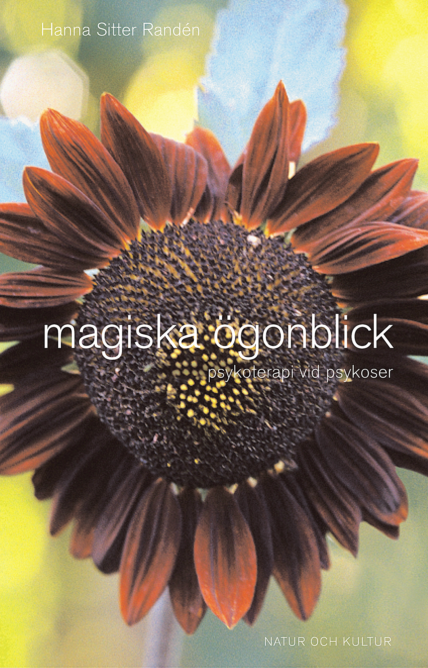 Magiska ögonblick - Digital - Laddas ner