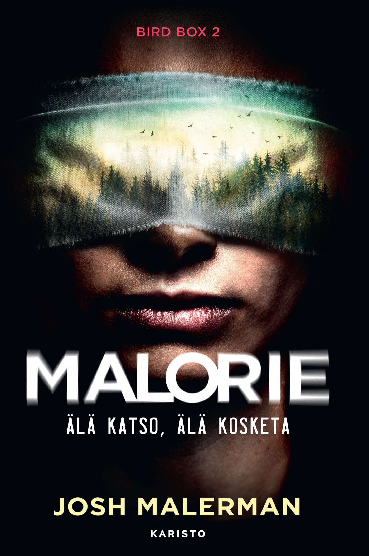Malorie – Älä katso, älä kosketa – E-bok