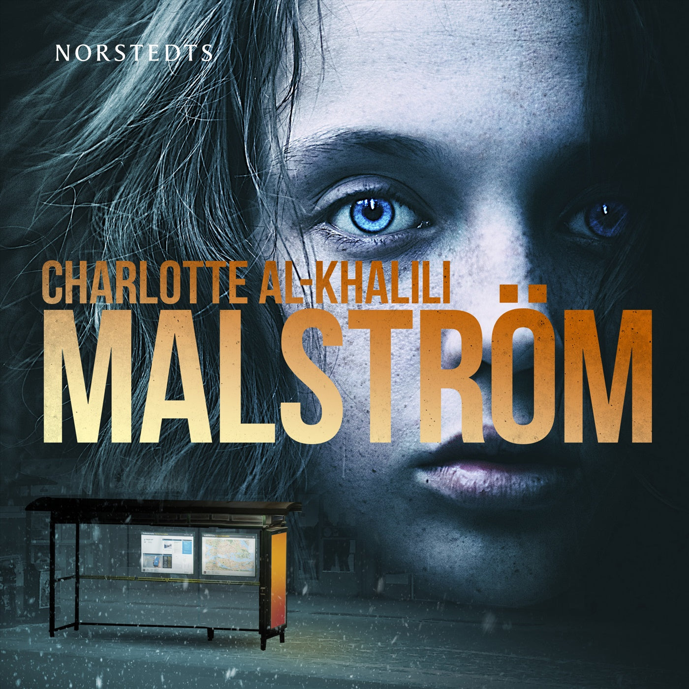 Malström – Ljudbok