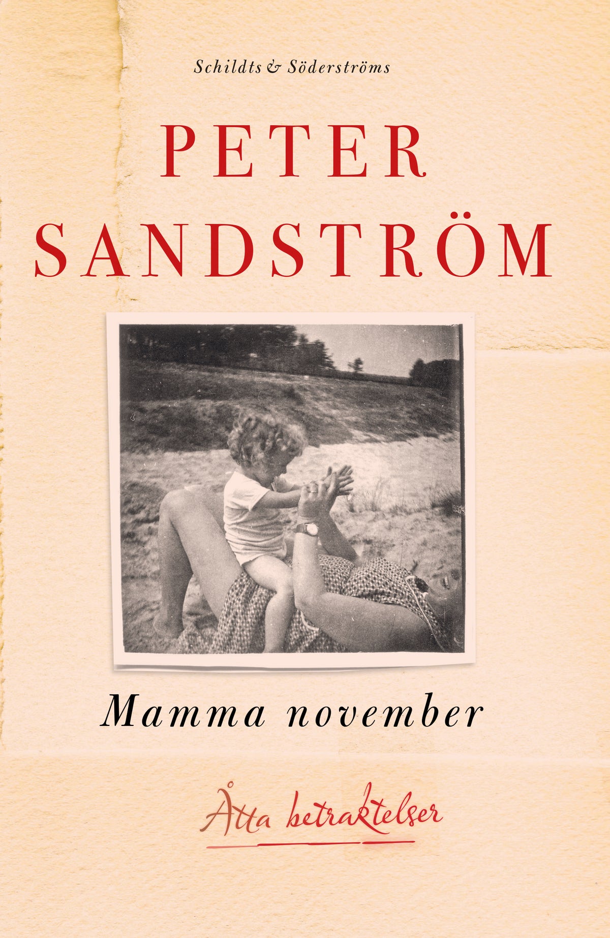 Mamma november – E-bok