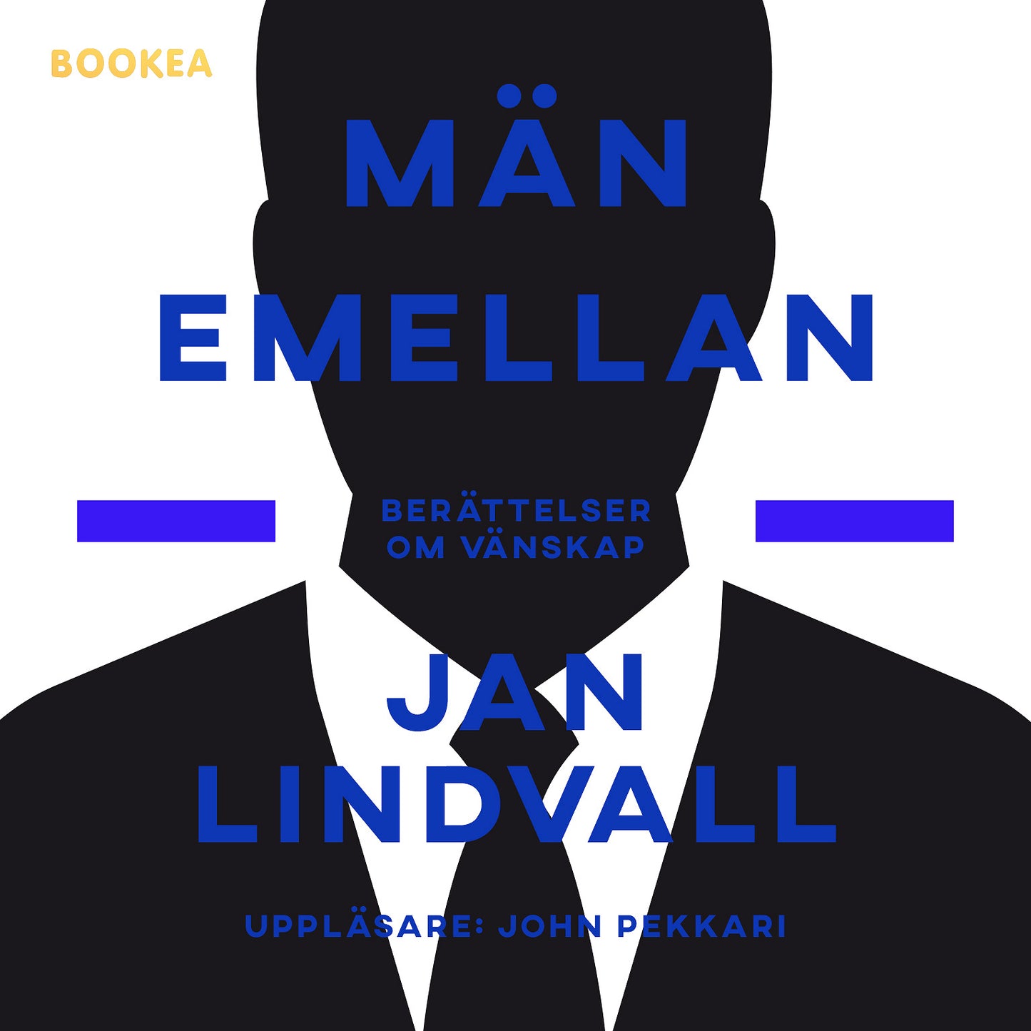 Män emellan : berättelser om vänskap – Ljudbok