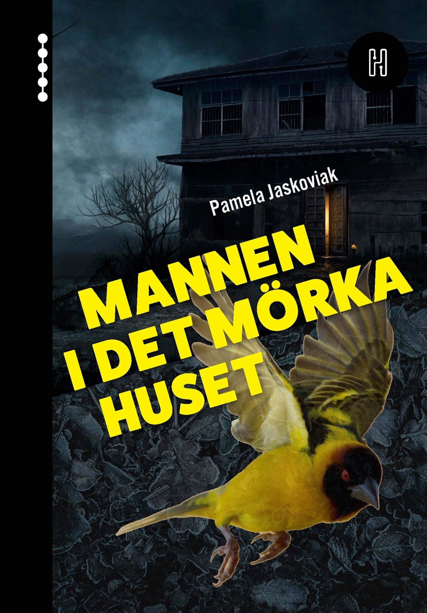 Mannen i det mörka huset – E-bok