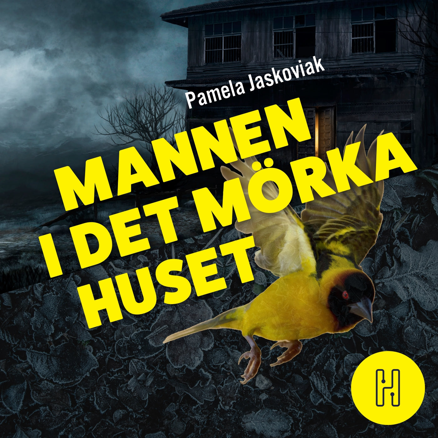 Mannen i det mörka huset – Ljudbok