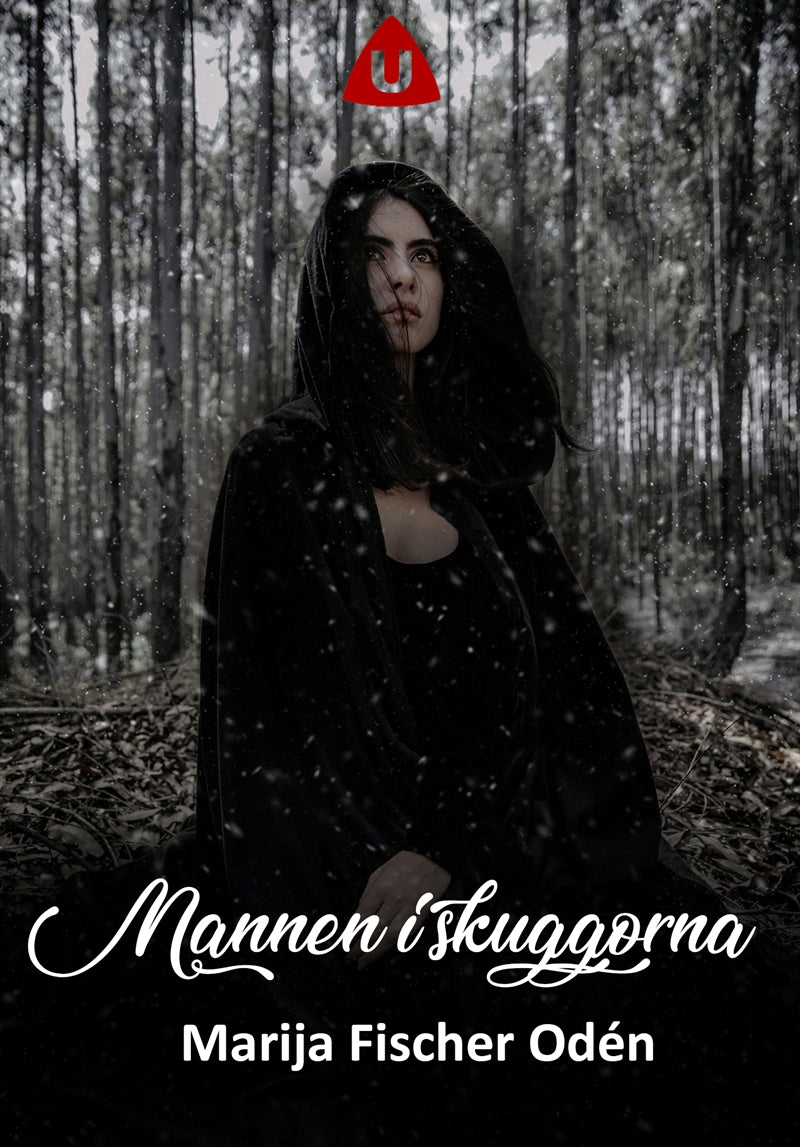 Mannen i skuggorna – E-bok