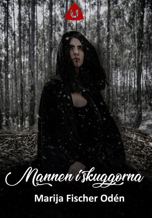 Mannen i skuggorna – E-bok