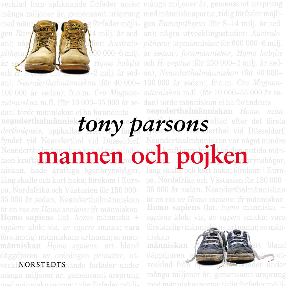 Mannen och pojken – Ljudbok