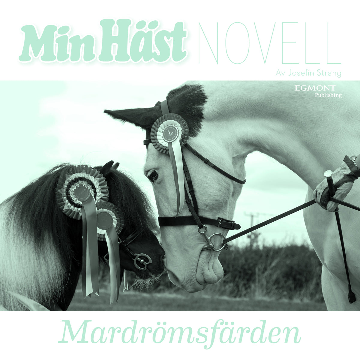 Mardrömsfärden – Ljudbok