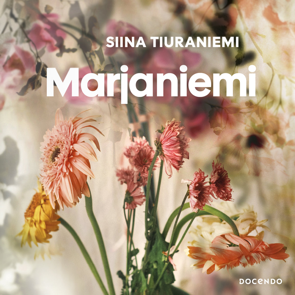 Marjaniemi – Ljudbok