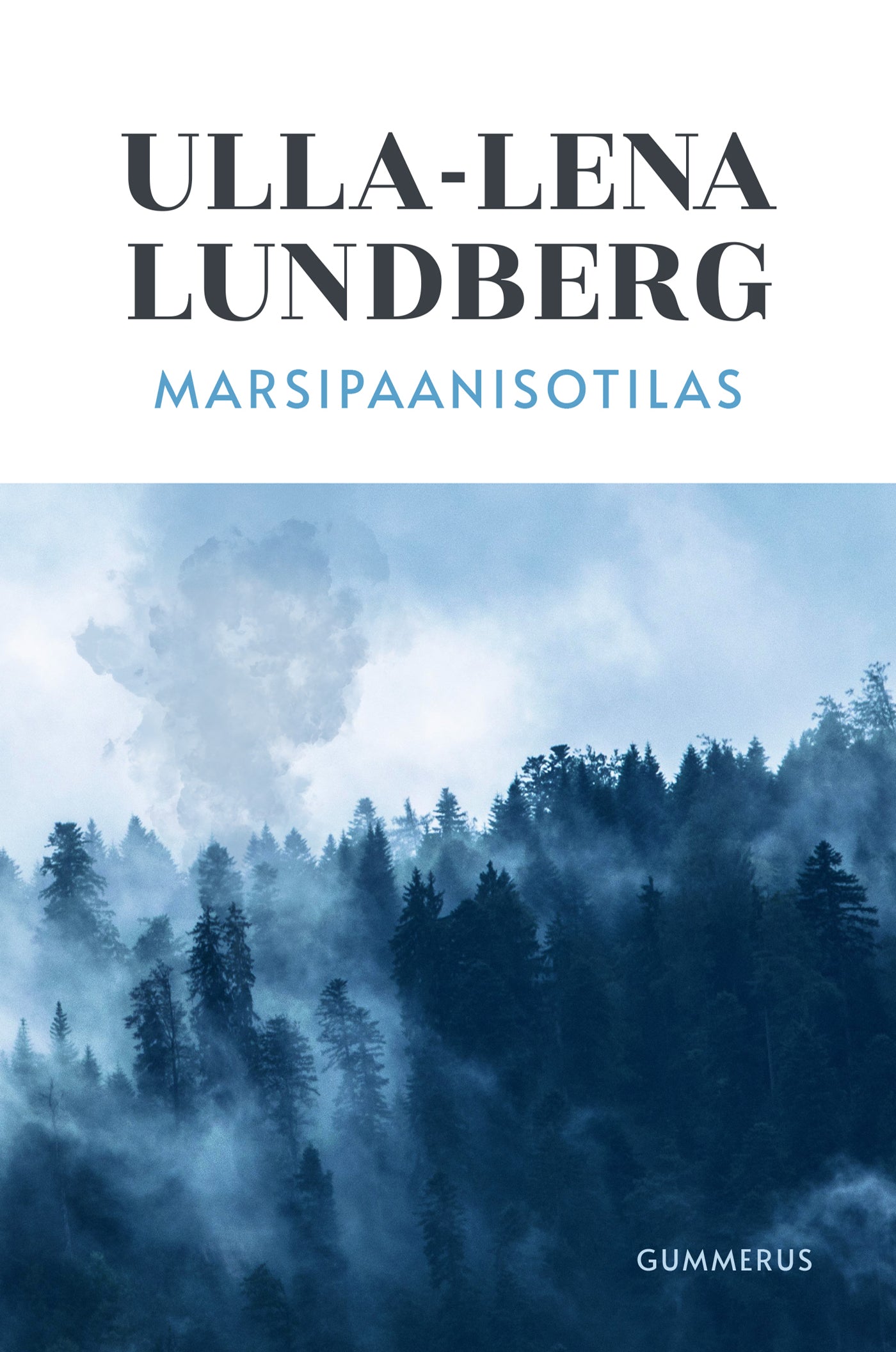 Marsipaanisotilas – E-bok