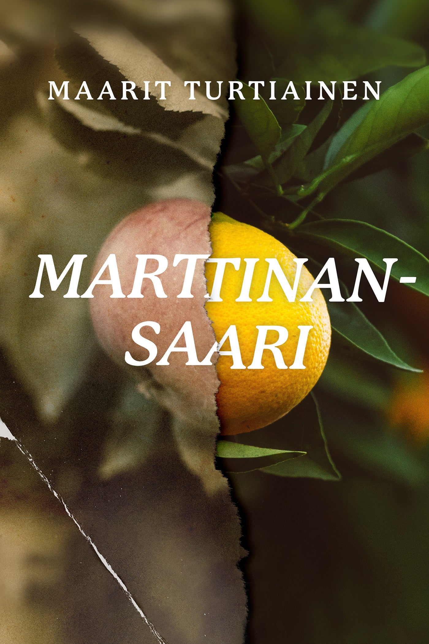 Marttinansaari	 – E-bok