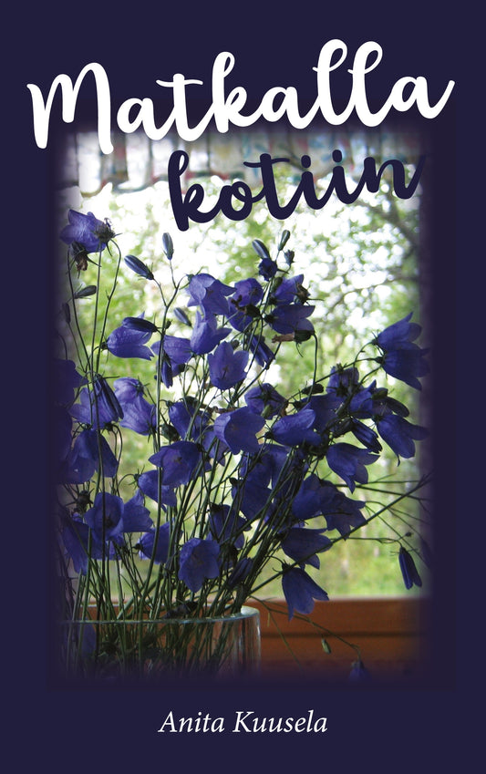 Matkalla kotiin – E-bok